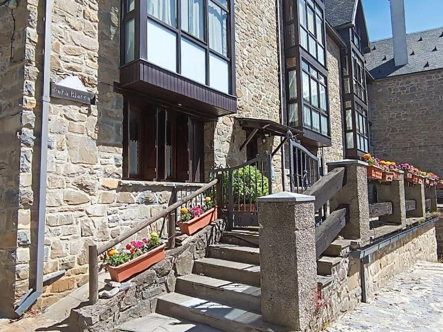 Pena Telera Petfriendly - Arafita Apartamentos El Pueyo de Jaca Exterior photo